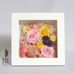 Thumbnail of post image 161