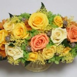 Thumbnail of post image 174