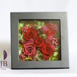 Thumbnail of post image 184