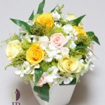 Thumbnail of post image 068