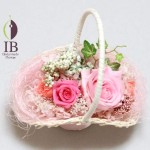 Thumbnail of post image 047