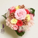 Thumbnail of post image 025