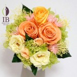 Thumbnail of post image 027