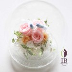 Thumbnail of post image 055