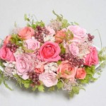 Thumbnail of post image 175