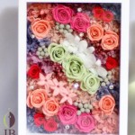 Thumbnail of post image 174