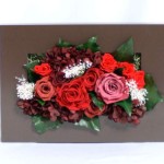 Thumbnail of post image 039