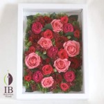 Thumbnail of post image 121