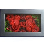 Thumbnail of post image 009