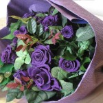 Thumbnail of post image 198