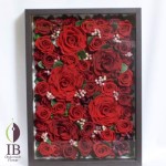 Thumbnail of post image 197