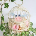 Thumbnail of post image 089