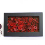 Thumbnail of post image 049