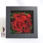 Thumbnail of post image 003