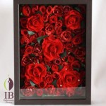 Thumbnail of post image 123