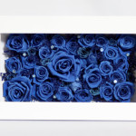 Thumbnail of post image 104