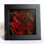 Thumbnail of post image 162