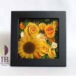 Thumbnail of post image 100