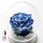 Thumbnail of post image 104