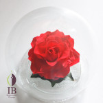 Thumbnail of post image 129