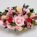 Thumbnail of post image 120