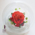 Thumbnail of post image 057