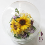 Thumbnail of post image 012