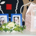 Thumbnail of post image 148