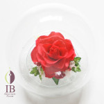 Thumbnail of post image 173