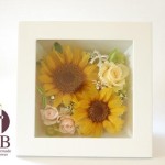 Thumbnail of post image 091