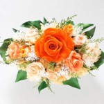 Thumbnail of post image 103