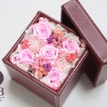 Thumbnail of post image 121