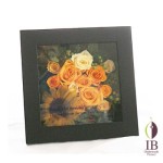 Thumbnail of post image 112