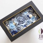 Thumbnail of post image 193