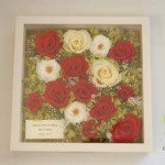 Thumbnail of post image 141