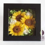 Thumbnail of post image 140