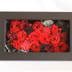 Thumbnail of post image 050