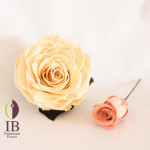 Thumbnail of post image 191