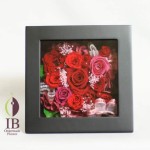 Thumbnail of post image 048