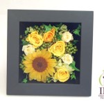 Thumbnail of post image 184