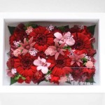 Thumbnail of post image 111