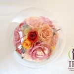 Thumbnail of post image 058