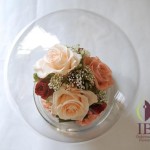 Thumbnail of post image 055