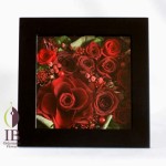 Thumbnail of post image 187