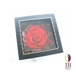 Thumbnail of post image 151