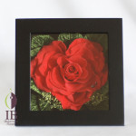 Thumbnail of post image 123