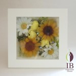 Thumbnail of post image 082