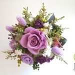 Thumbnail of post image 053