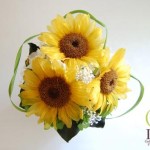 Thumbnail of post image 038