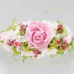 Thumbnail of post image 047